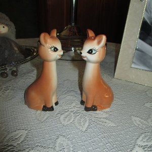 Salt & Pepper Shakers